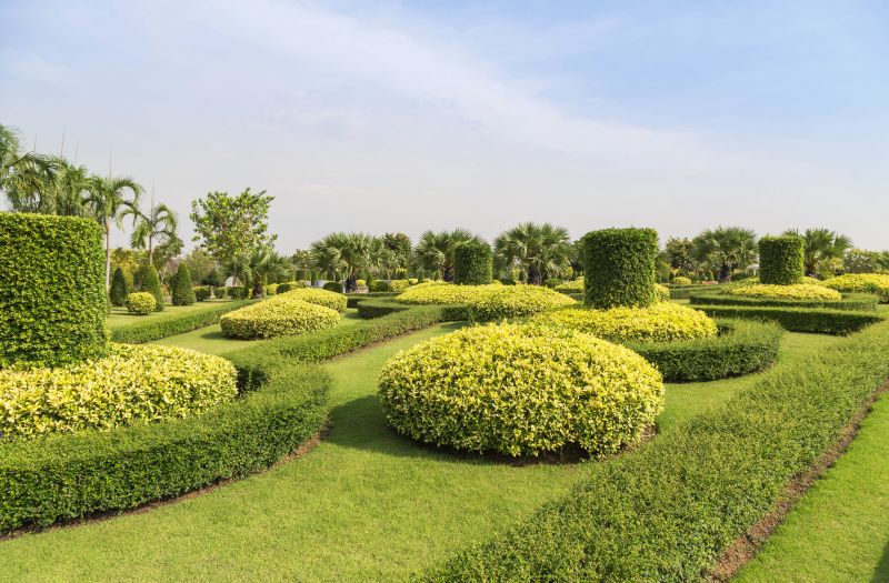 Shrubs in a Residential Yard