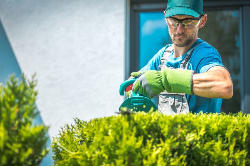 Landscaper at Work on Shrubs