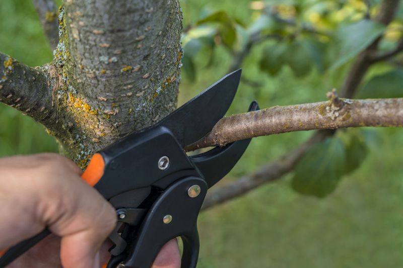 Weigela Pruning Service