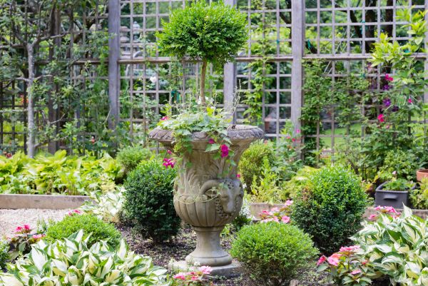 Topiary Pruning in Denver