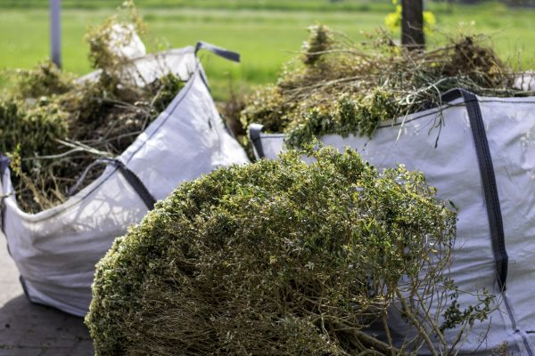 Cost of Shrubs Removal in Denver